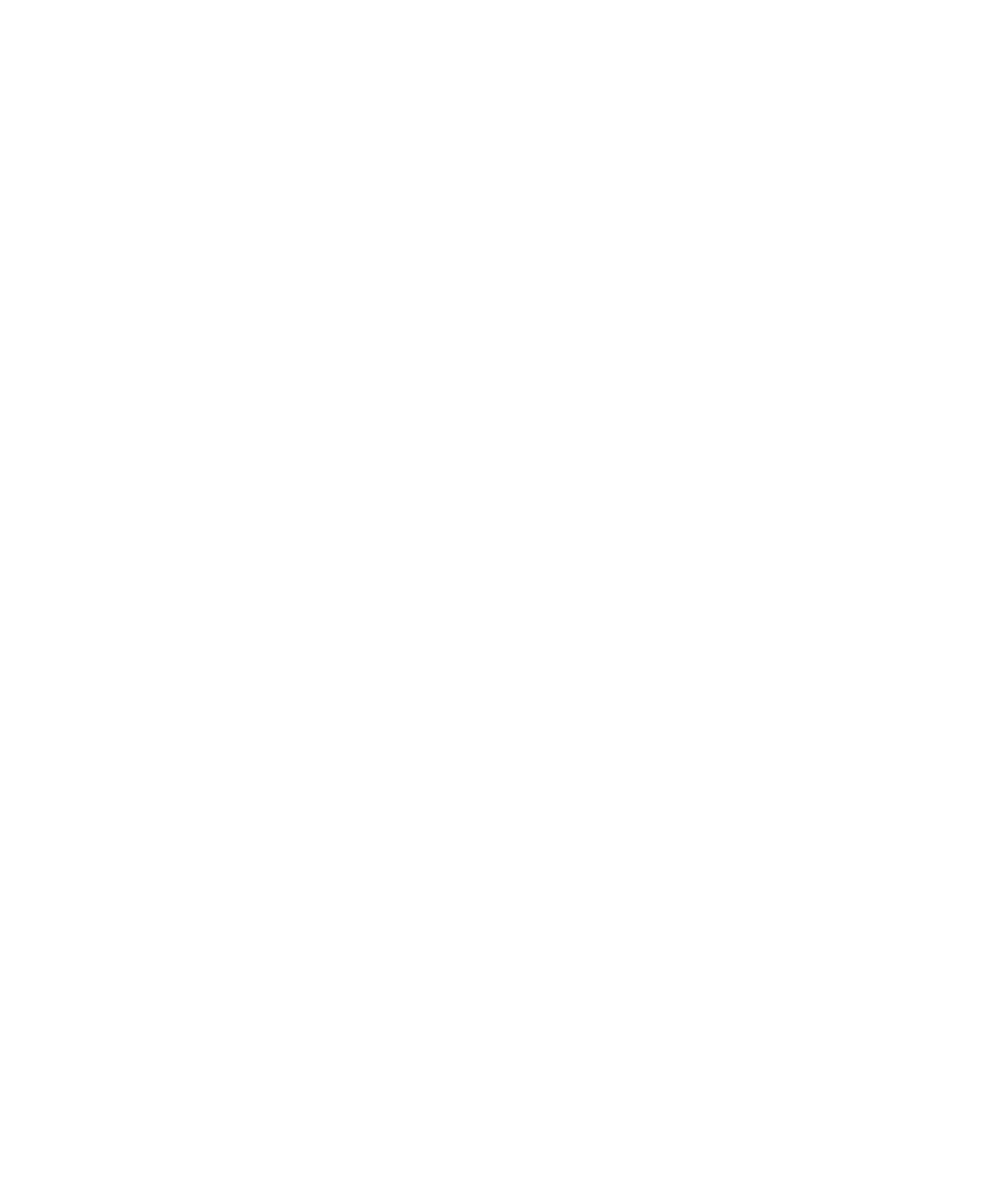 FIVE ELEMENT FIT